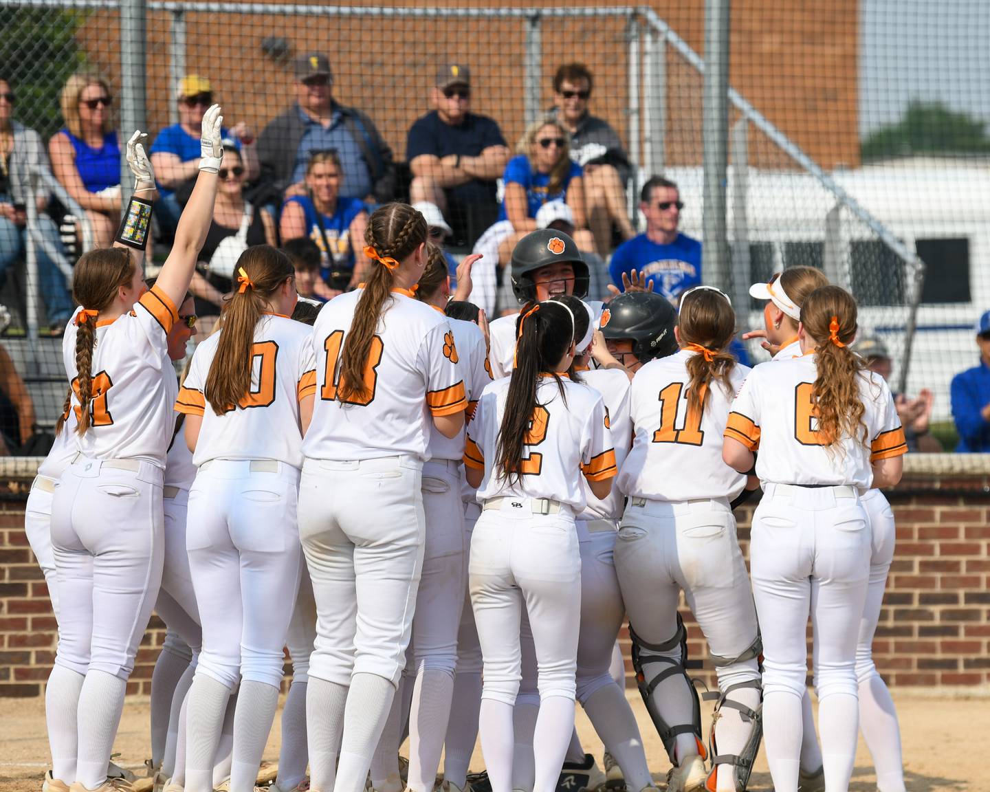 Wheaton Warrenville South's Presley Wright (3) gets congratulated by teammates after hitting a home run during the sectional semifinal game while taking on Wheaton North on Thursday June 5, 2025, held at Oswego High School.