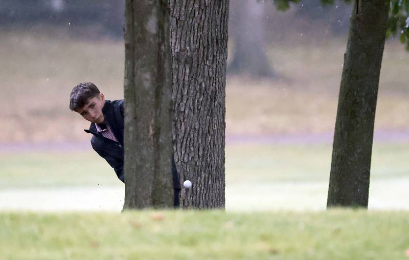 Ryan Augustine, Batavia, watches his chip to the green during the DuKane Conference Boys Varsity Tournament Tuesday, Sept. 24, 2024 Bartlett Hills Golf Club.