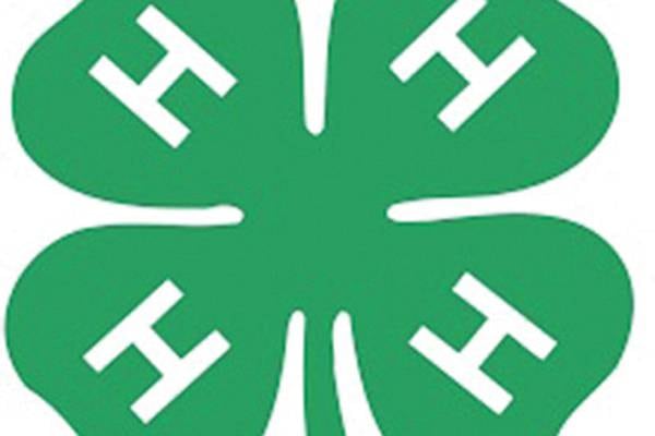 Ogle County 4-H joins national celebration of leadership, learning, service