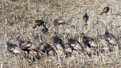 Measure led by State Sen. Joyce that expands hunting permits to landowners signed into law