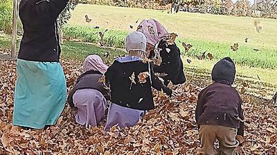 Lovina asks for help naming Midnight's colt