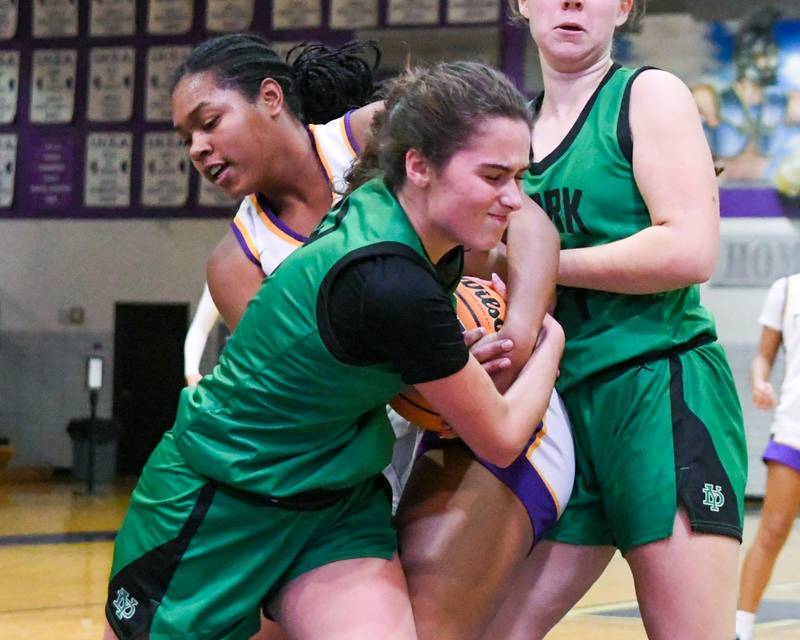York's Ellie Kehoe, front, battles for the ball against Downers Grove North's Elizabeth Murphy (34) during the game on Tuesday Dec. 3, 2024, held at Downers Grove North High School.