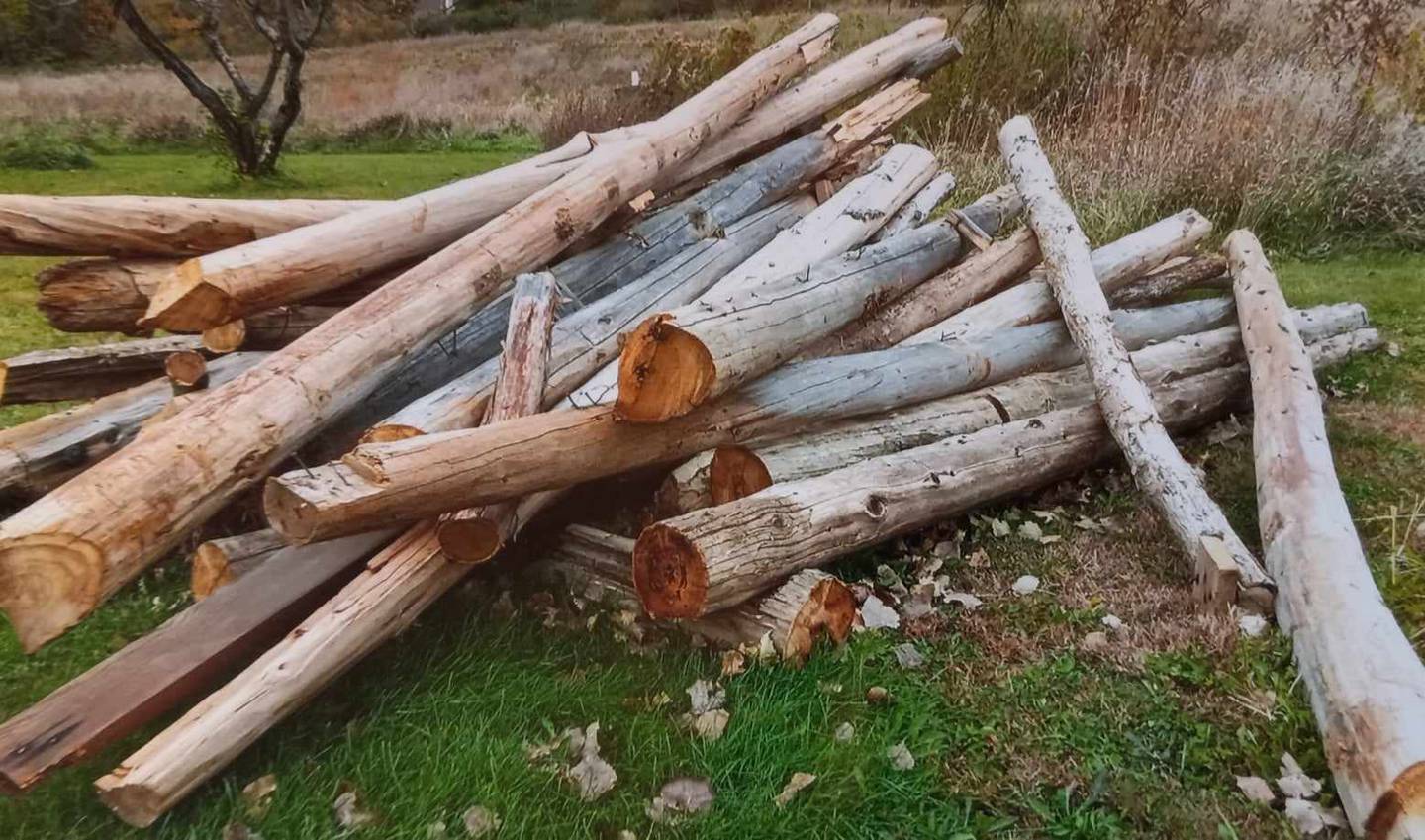A neighborhood bonfire was considered, but a friend suggested a pre-civil war pioneer log cabin.