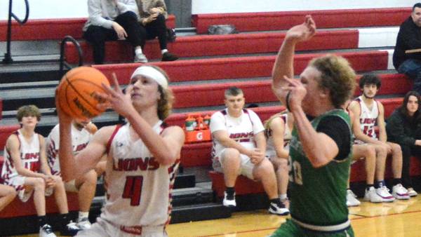 Basketball notebook: Tournament champions crowned at six area boys sites, two girls sites   