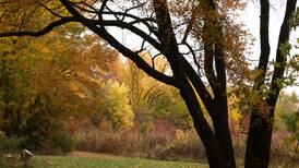 Photos: DeKalb County awash in fall color