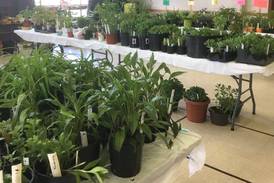 Kane Forest Preserve Foundation’s annual plant sale set for April 25 in St. Charles
