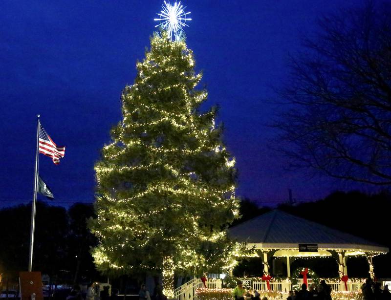 A Tree Lighting Ceremony took place at A Merry Little Sandwich Christmas on Saturday, Dec. 7, 2024.