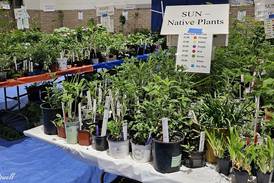 Batavia Plain Dirt Gardeners host annual plant sale