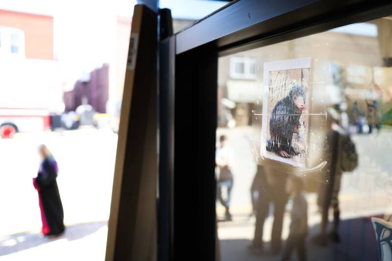 Harry Potter fans were challenged to find magical beasts hidden along Liberty Street for a check list handed out at the Magic in Morris event on Saturday.