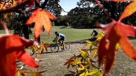 Photos: Fall color in McHenry County