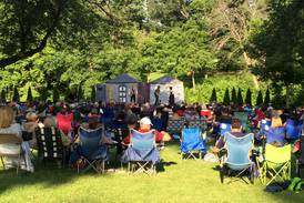 Geneva Cultural Arts Commissioners resist prospect of being dissolved