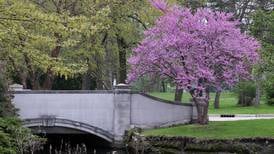 DeKalb Township to plant 250 trees in honor of the nation’s 250th anniversary