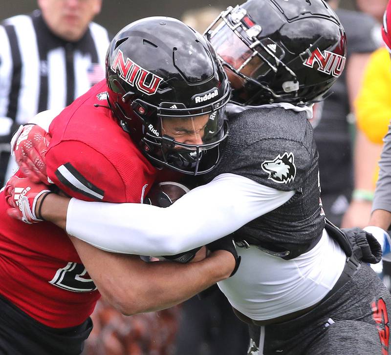Northern Illinois running back Gavin Williams is tackled by safety Louis Frye during the Spring Showcase Saturday, April 22, 2023, at Huskie Stadium at NIU in DeKalb.