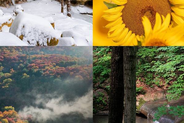2026 Starved Rock & Matthiessen Calendars Available for Purchase