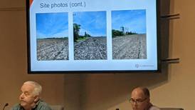Sandwich City Council approves solar farm along Sandy Bluff Road