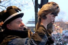 Groundhog Day in Woodstock: Willie predicts early spring, rest of region hopes he’s right