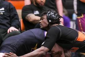 2026 Daily Chronicle Boys Wrestling All-Area Team