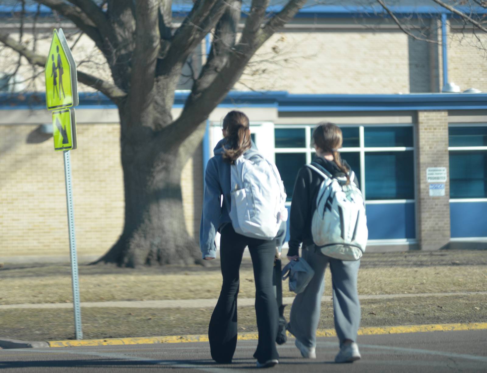 Sterling schools revamping student proficiency goals Shaw Local