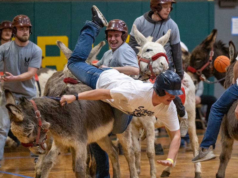 Photos: Hooves on the hardwood as donkey basketball takes over Seneca
