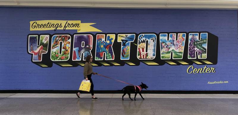 Yorktown Center in Lombard is hosting its first annual Dog Days of Summer series with several dog-friendly events.