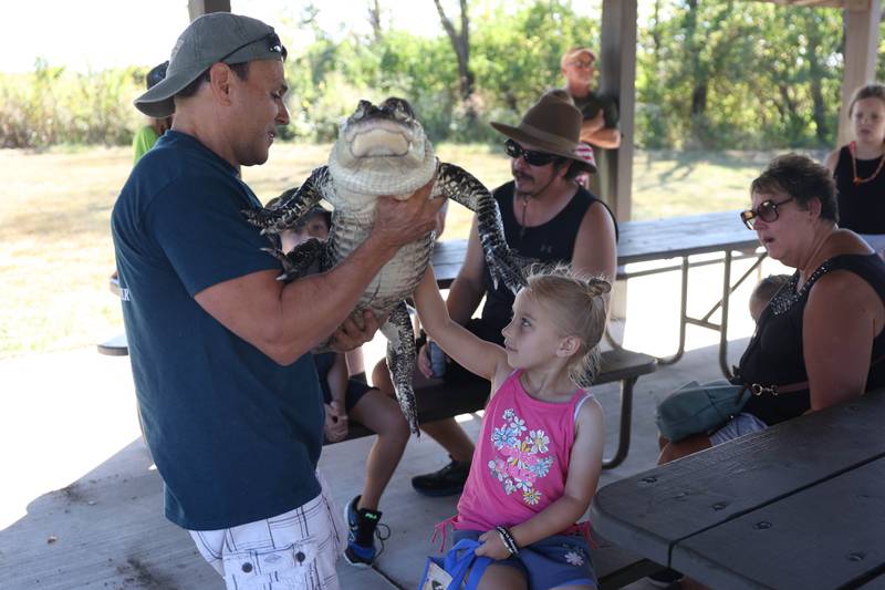 Dave DiNaso of Traveling World of Reptiles lets Janis Smith-Grandys, 5, pet Axl the alligator at the 26th Annual Prairie Days on Saturday, Sept. 21, 2024 in Morris.