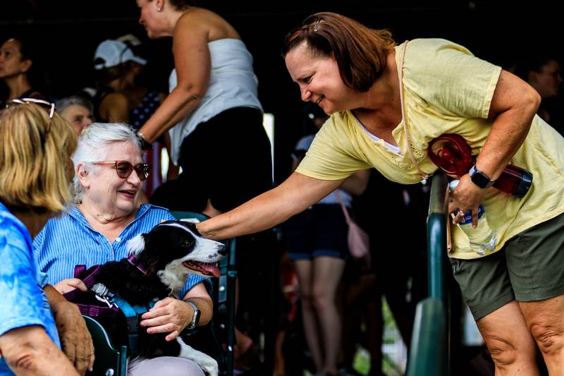 Wheaton resident Deana Sons stops to pet Lunabelle, and chat with her owner Carolyn Neumann during the Joliet Slammers Dog Day event, presented by University of St. Francis, on Aug. 10, 2025.