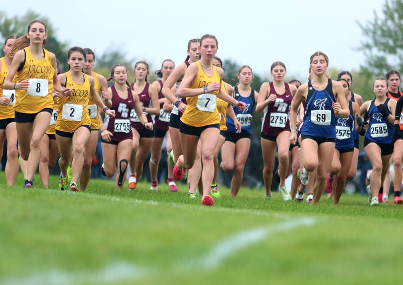 Runners begin the Fox Valley Conference Girls Cross Country Meet at Plato Park in Elgin Saturday.