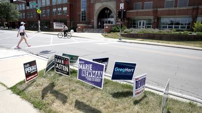 Voters opt for status quo in DuPage County Board primary races
