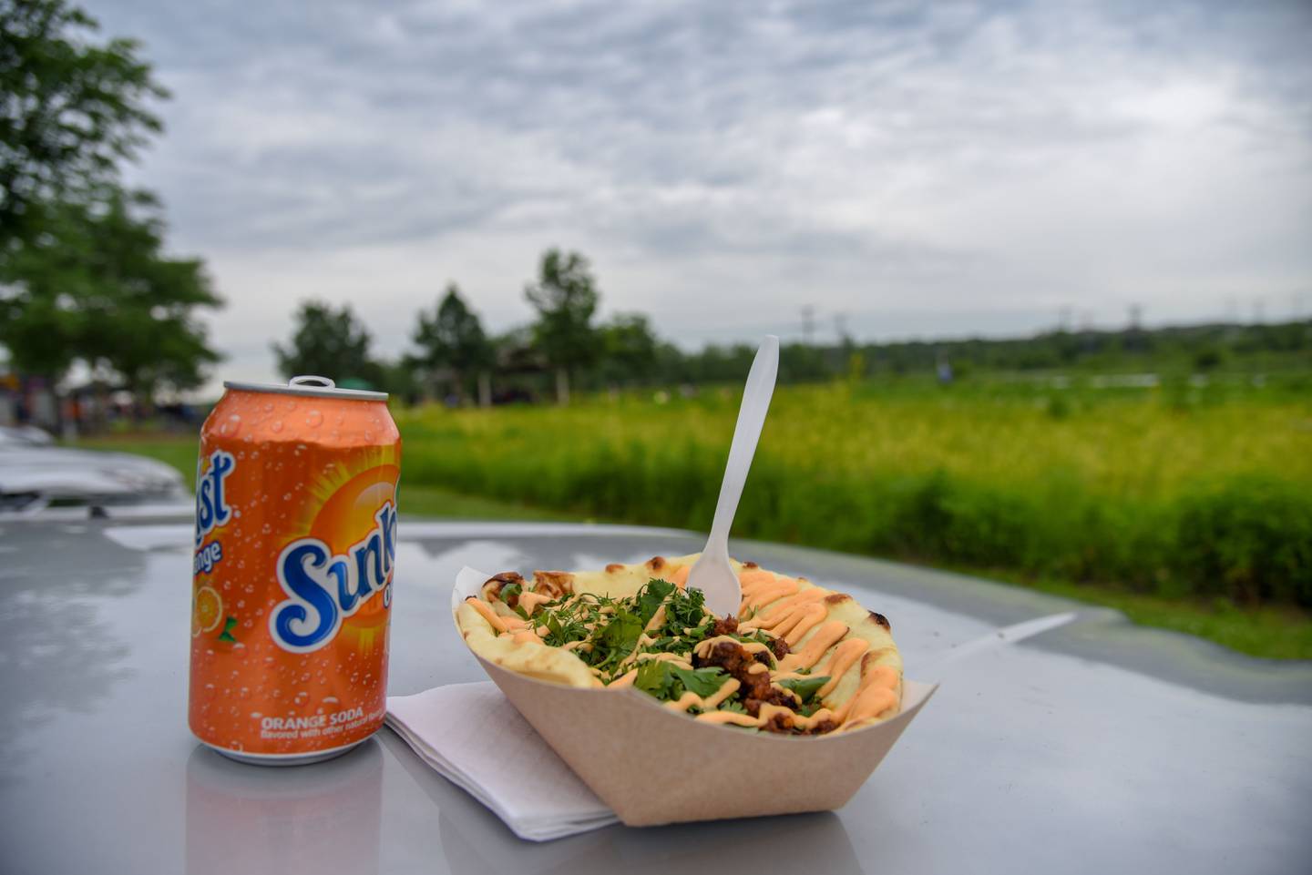 Jen Guest, recreation coordinator, at the Forest Preserve District of Will County, said many food trucks today don't serve the carnival-style, fried foods people often association with food trucks.