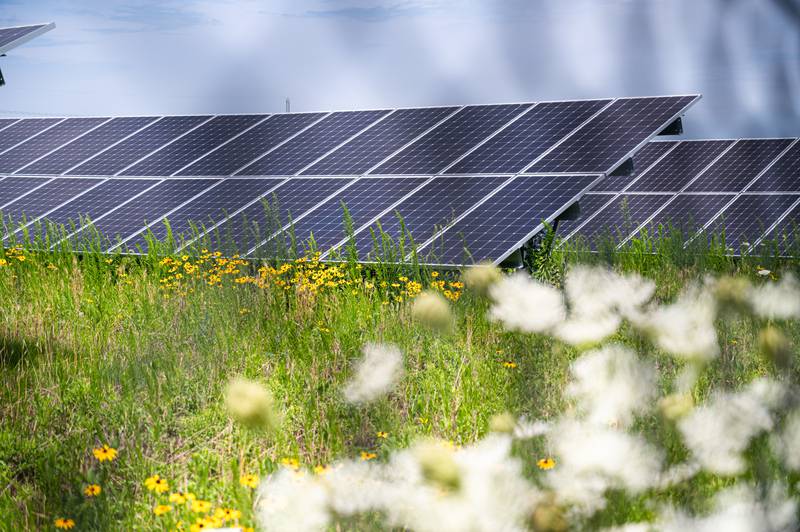Huntley School District 158 solar array is one of the improvements Doug Renkosik, the district’s director of operation and maintenance, will discuss Friday, April 8, 2022.