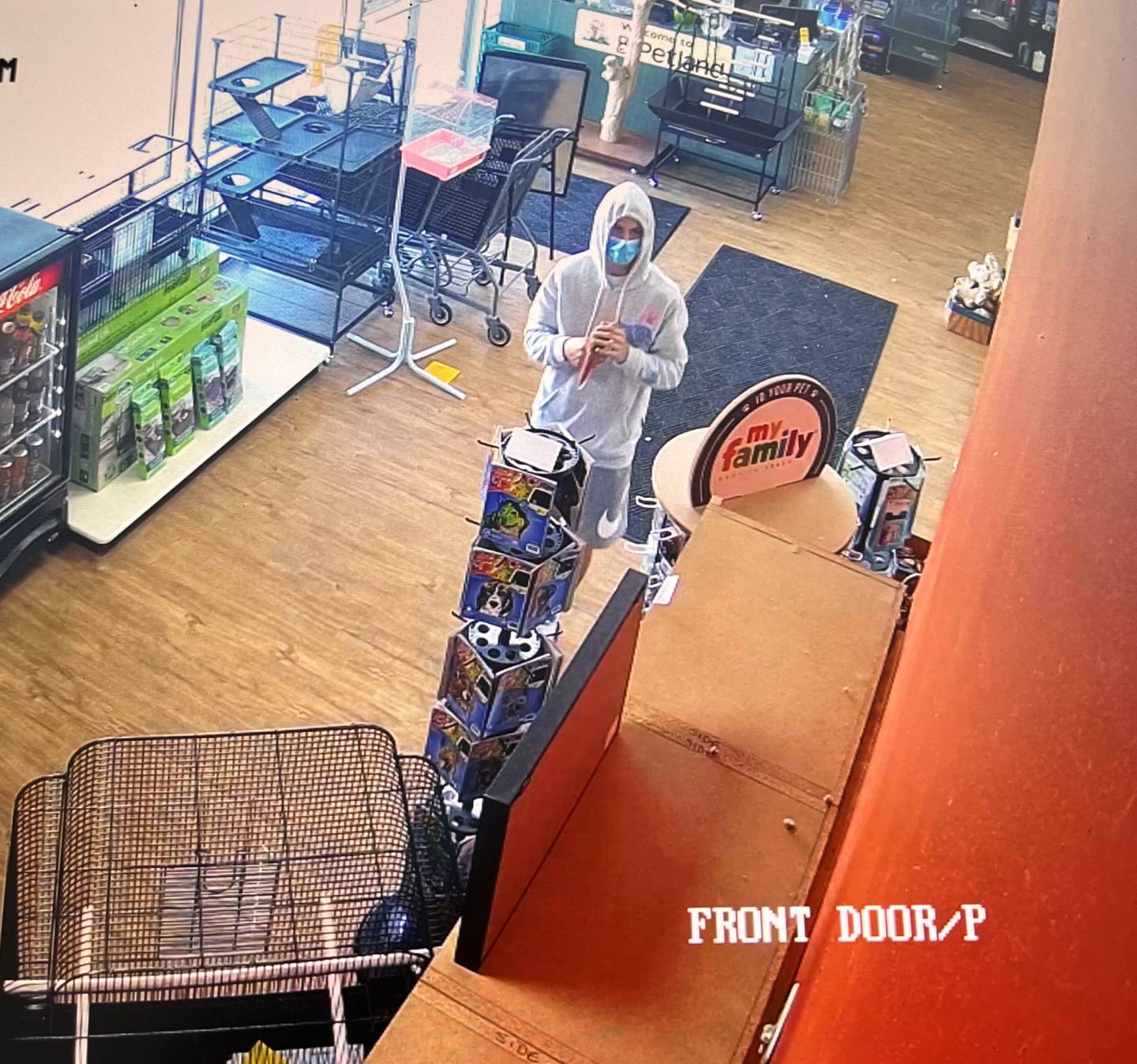 Surveillance video from Petland 401 N. Randall Road, Batavia, about 5 p.m. June 16, minutes before the man holding the pineapple conure parrot ran out the door with it. The bird is still a baby, having been born March 25.