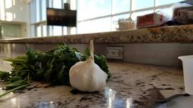 Learn how to grow garlic in these classes in Will, Grundy and Kankakee counties