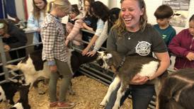 Youth Ag Expo back in McHenry County following COVID-19 cancellations