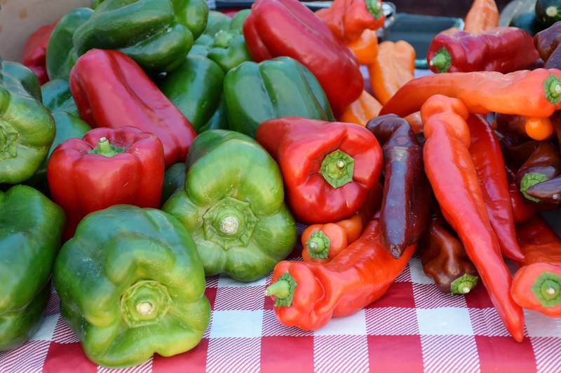 Photos DeKalb Farmers Market opens for season Shaw Local