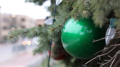 Ogle County releases Christmas tree recycling information 
