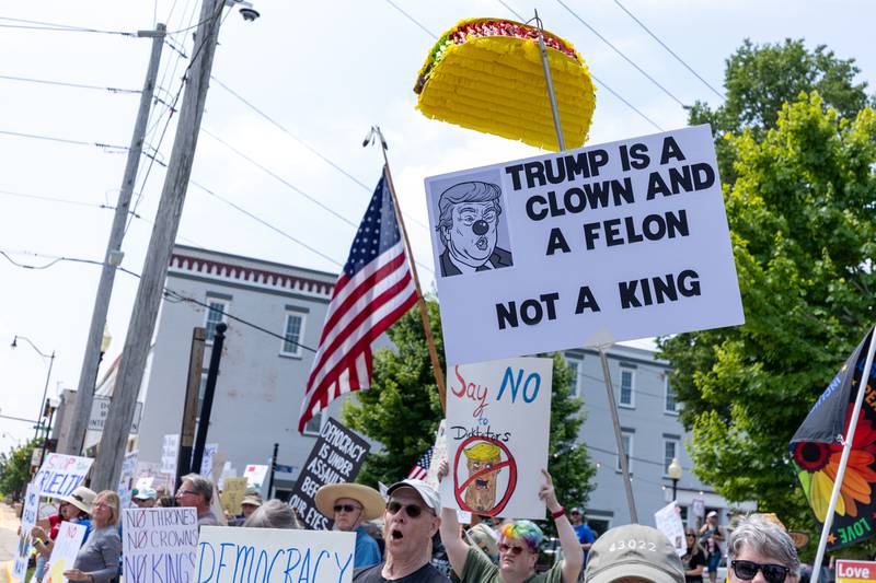 Protesters flood rotary park at the “No Kings” protest on Saturday, June 14, 2025 in Princeton.