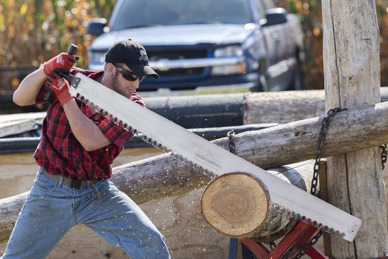 Working the cross cut saw, Tyler Berard cuts through a log  Saturday, October 5, 2024, during Rock Falls Tourism’s Lumberjack Show.