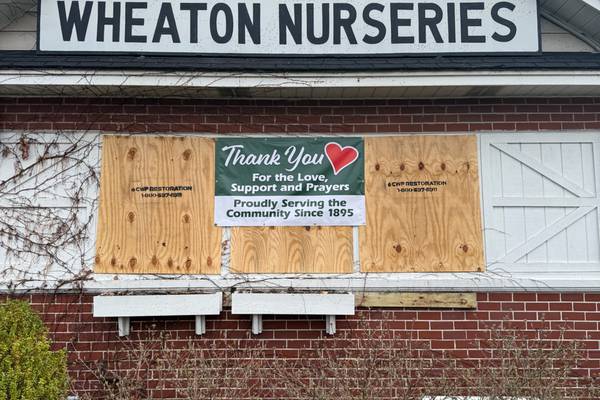 ‘I was devastated’: Wheaton Nurseries receives outpouring of support after shop fire