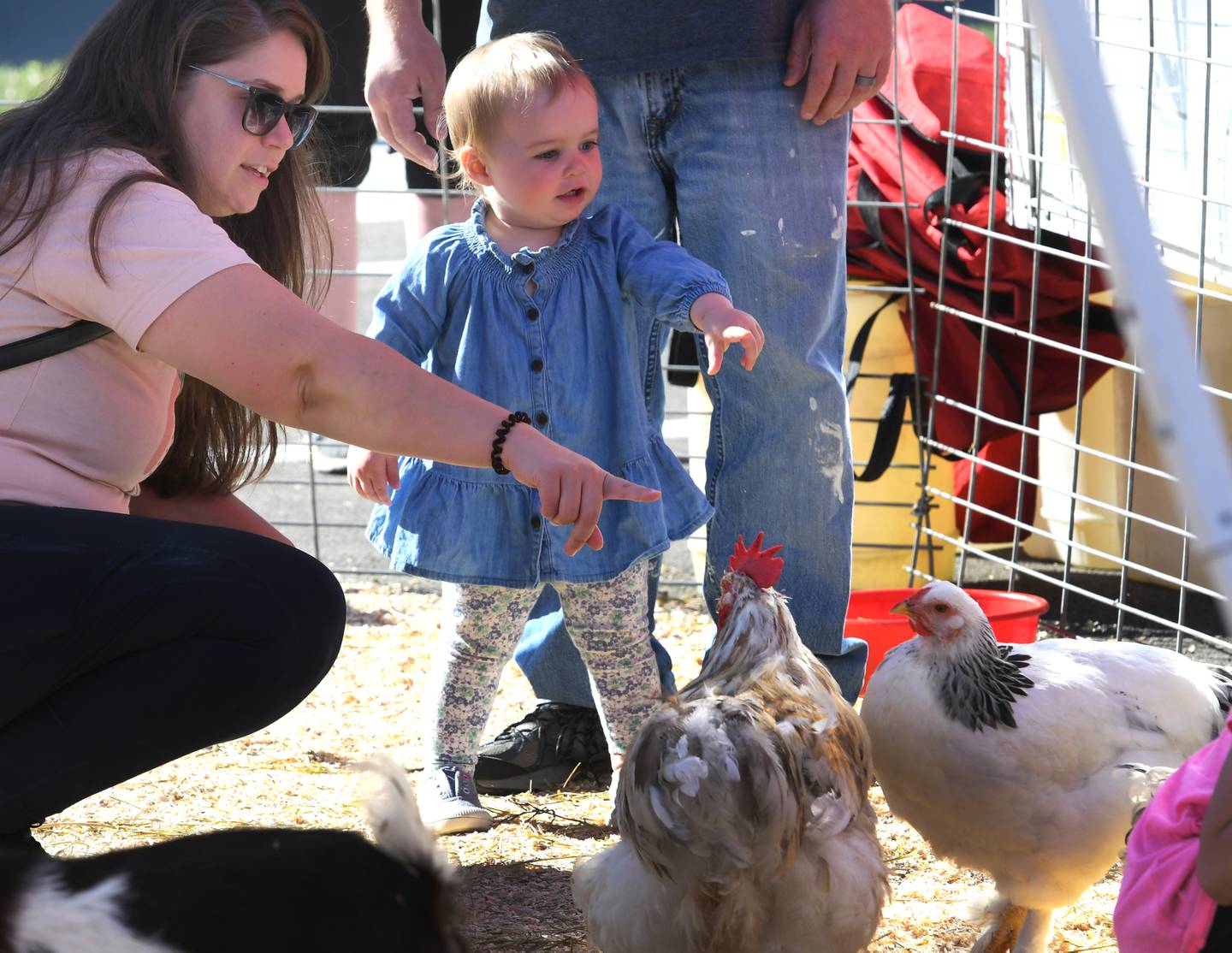 Eliza Swedbery, 1, of Lost Lake, and her mom, Jinny, point to two chickens as they visit the petting zoo at the Autumn on Parade Fun Zone on Saturday. The free Fun Zone continues on Sunday.