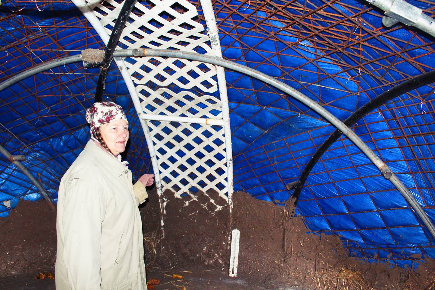 Avalon Unity Garden's Womb Room is dug out from the ground and held up by trampoline parts, tarp and fencing.