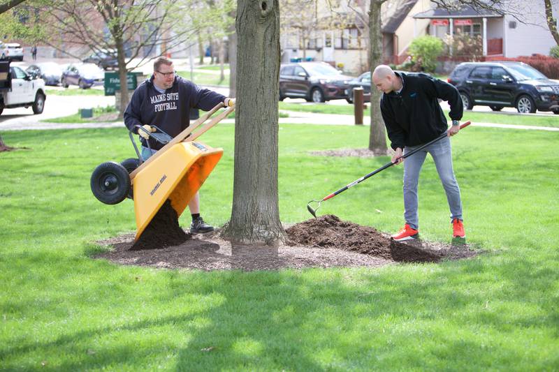 Volunteers Kevin Stock and Vance Kevin put mulch by a tree at  Fishel Park to celebrate Earth Day on Saturday, April 22, 2023 in Downers Grove.
