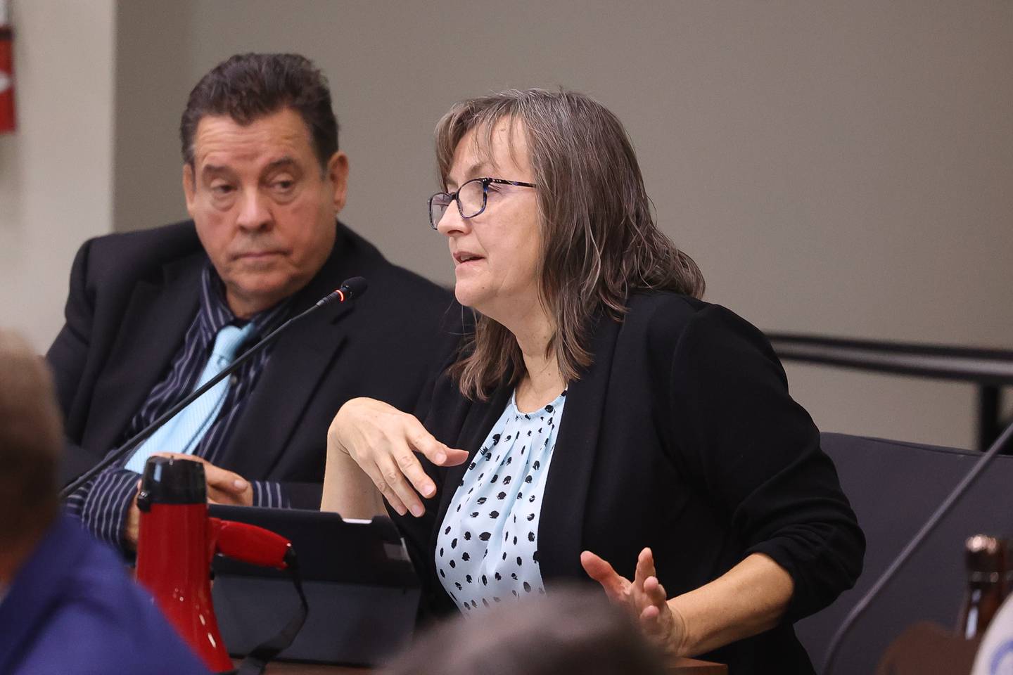 Will County Board member Judy Ogalla speaks at the Will County Board Meeting on Monday, Dec. 2, 2024 in Joliet.