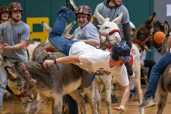 Photos: Hooves on the hardwood as donkey basketball takes over Seneca