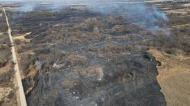 Firefighter charged with arson, accused of setting grass fire that burned 700 acres: Lee County sheriff