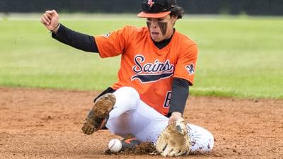 Photos: A look back at the Kane County Chronicle's 2025 spring prep sports photos 