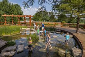 Explore community gardens and enchanting outdoor spaces