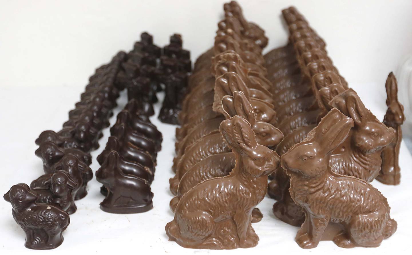Freshly molded Easter bunnies on Thursday, March 27, 2025, at Anderson's Candy Shop in Richmond.