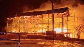 Several animals killed, barn destroyed in Hampshire-area fire