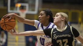 2025-26 Daily Chronicle girls basketball preview: Team capsules