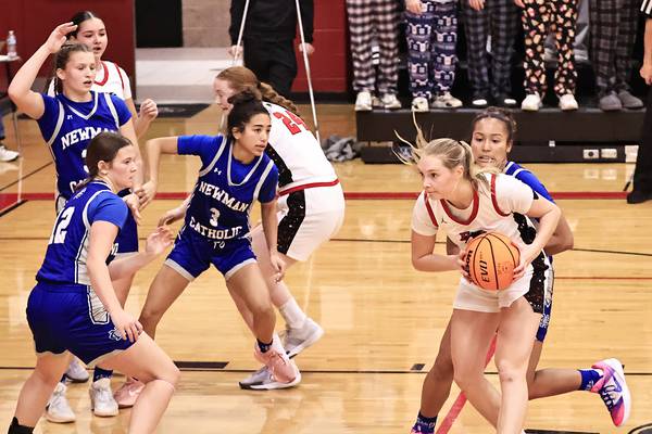 Newman girls basketball beats scrappy Erie-Prophetstown 38-22